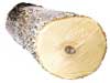 High quality Veneer logs for sale from Curtice Forest Products, Inc.
